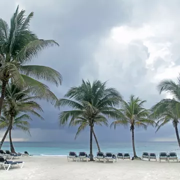Tropical storm out at sea, with huge grey clouds and sheets of rain coming down approaching a palm-lined beach