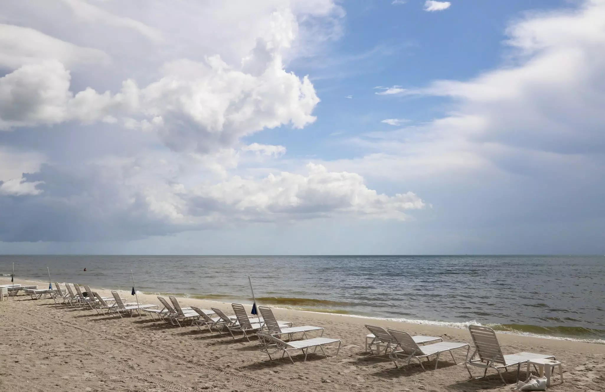 A row of lounge chairs near the water on a beach
