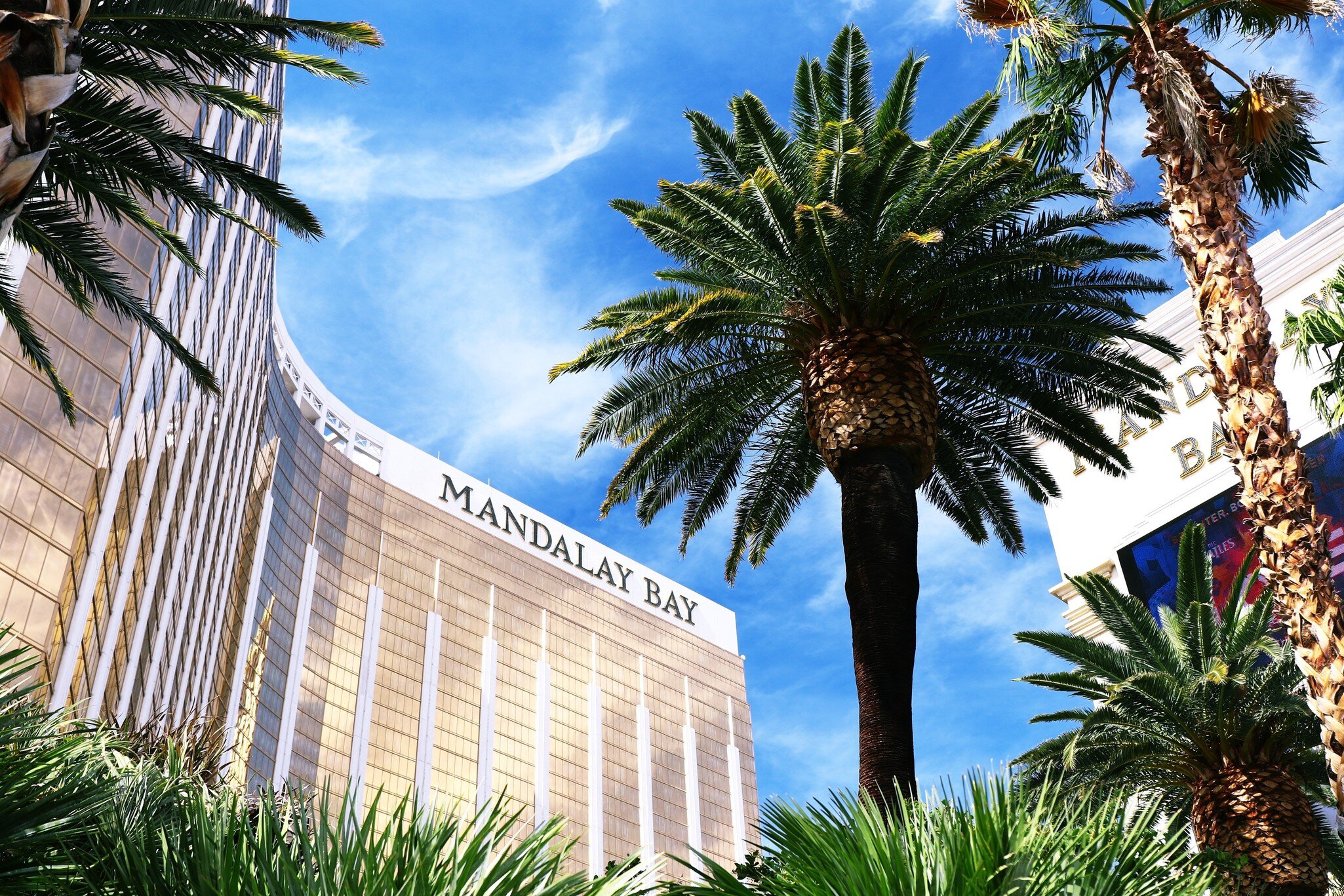 A gold-glass hotel tower rising behind palm trees against a blue sky.