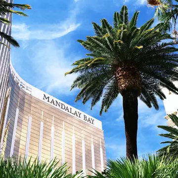 A gold-glass hotel tower rising behind palm trees against a blue sky.