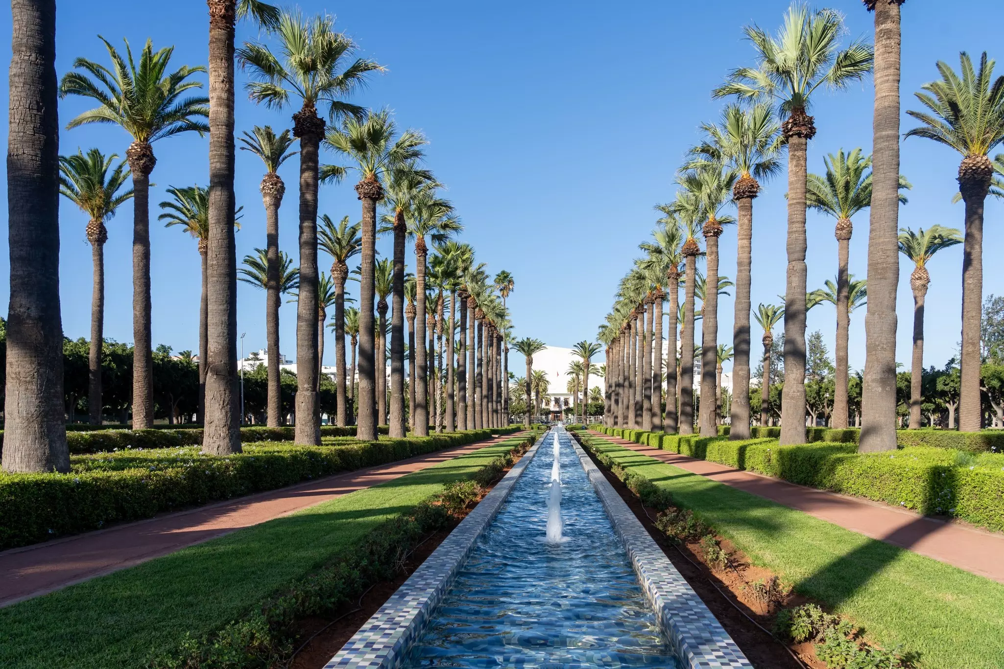 A long, narrow pool with fountains in the center, lined by grass, paths and rows of palm trees.