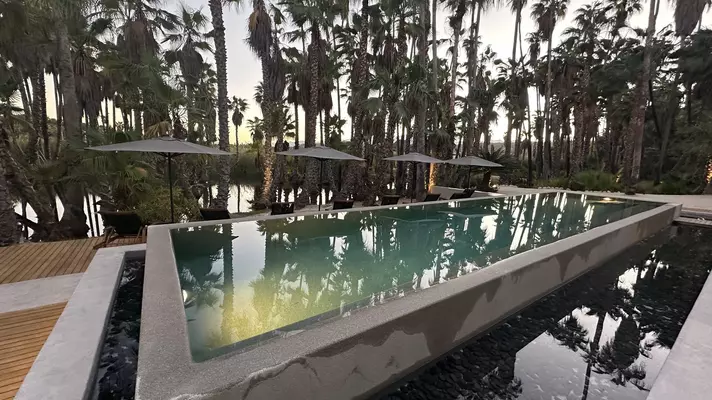 Long rectangular pool framed by palm trees.