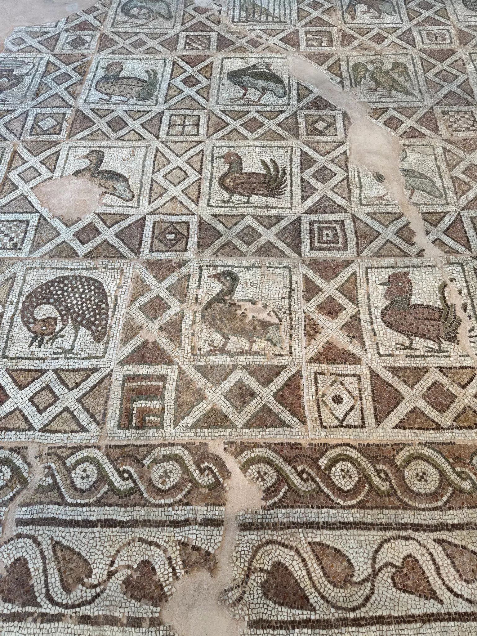 Three boxes of tacos from the Tyson Bees food truck, one edamame, one Thai basil chicken, and one Korean BBQ beef short rib.