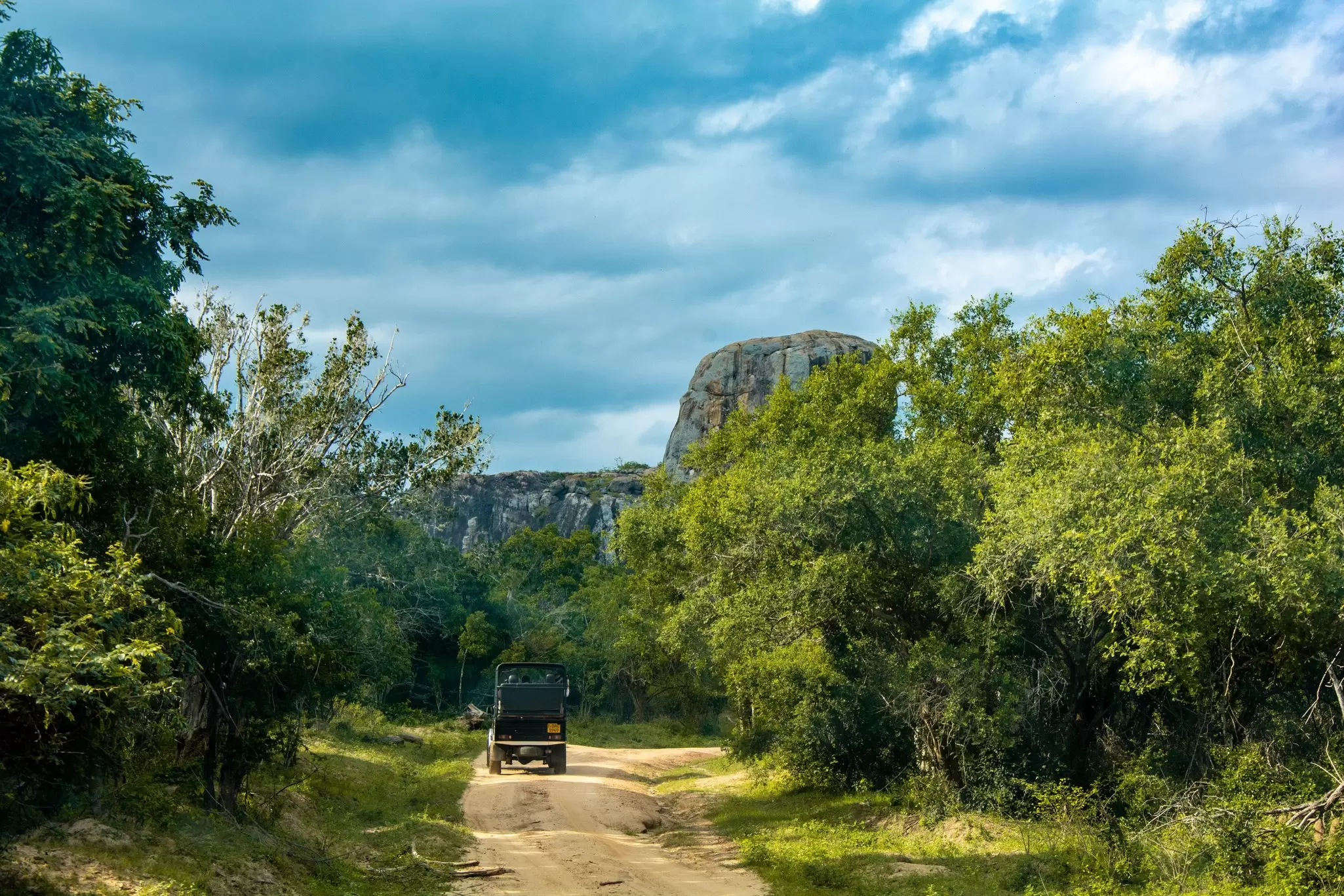 A four-wheel drive vehicle on a dirt track on safari in Yala National Park, Sri Lanka. 