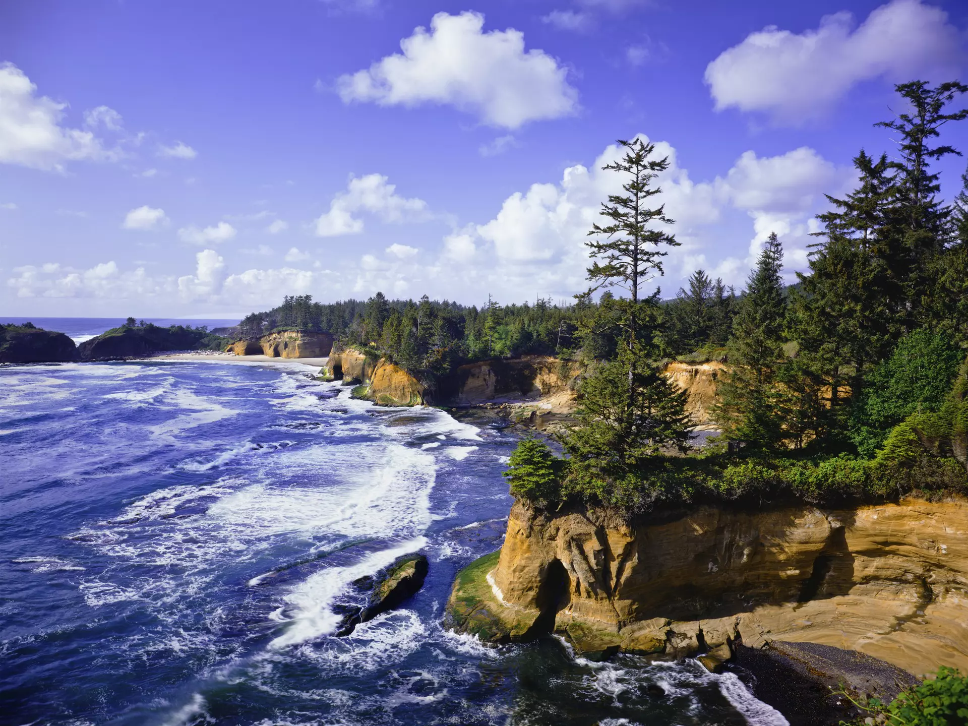 Waves of the Pacific Ocean crash against the sandstone cliffs of Whale Cove, Depoe Bay Oregon
155100251
Rocky Coastline, Photography, No People, Looking At View, Major Ocean, Beauty In Nature, Splashing, Oregon Coast, Depoe Bay, Seascape, Coastline, Color Image, Beauty, Scenics, Idyllic, Tranquil Scene, Blue, Nature, Outdoors, Horizontal, Western USA, Oregon, Pacific Northwest, USA, North America, Tree, Day, Summer, Rock - Object, Sandstone, Cliff, Beach, Coastal Feature, Stack Rock, Rock Formation, Land Feature, Landscape, Sky, Pacific Ocean, Sea, Water's Edge, Wave, Water, Nature, Sports And Fitness, Landscapes, Water, Whale Cove