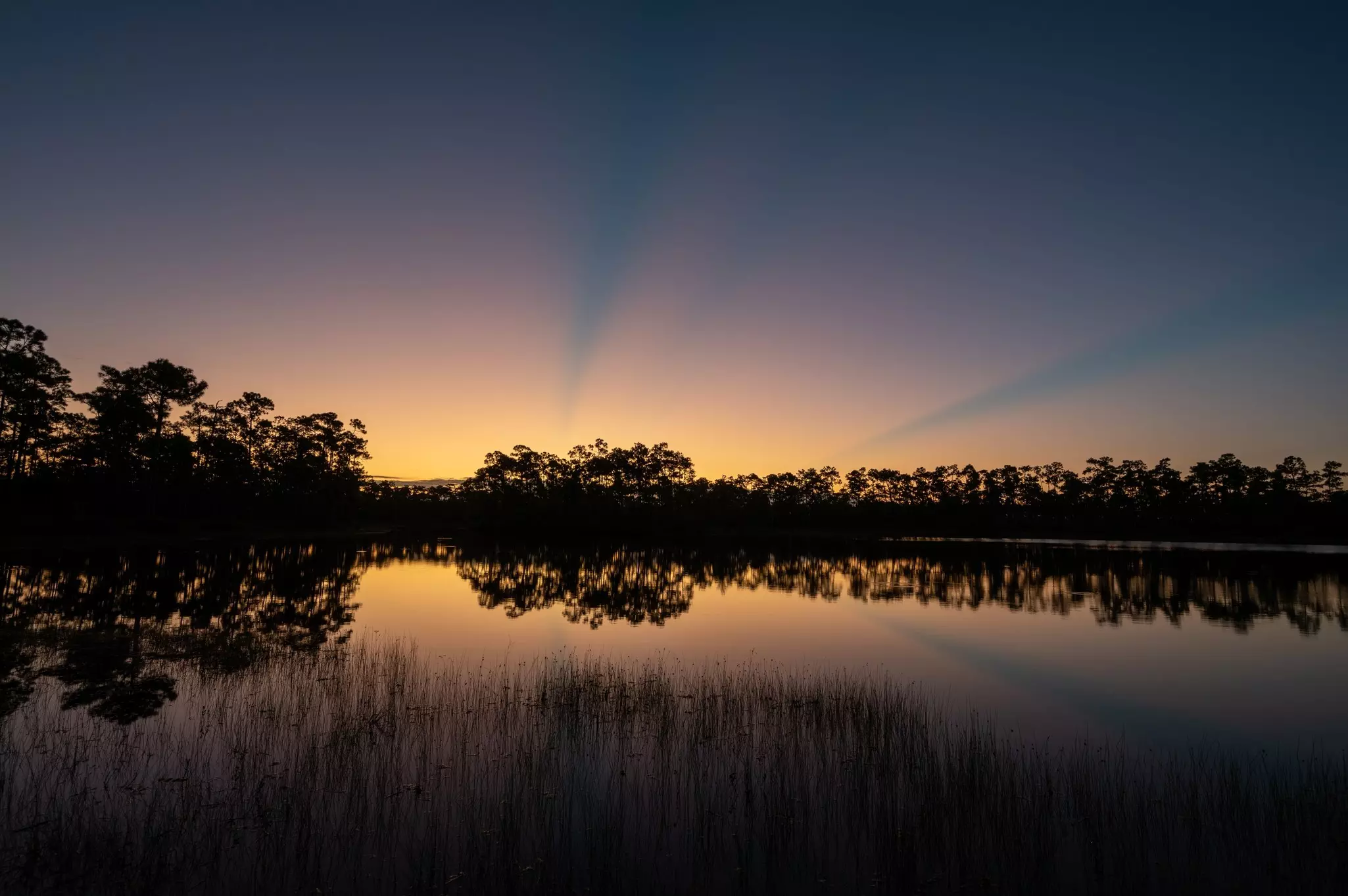 The last rays of the setting sun are seen over the horizon. Trees are silhouetted against tranquil water.