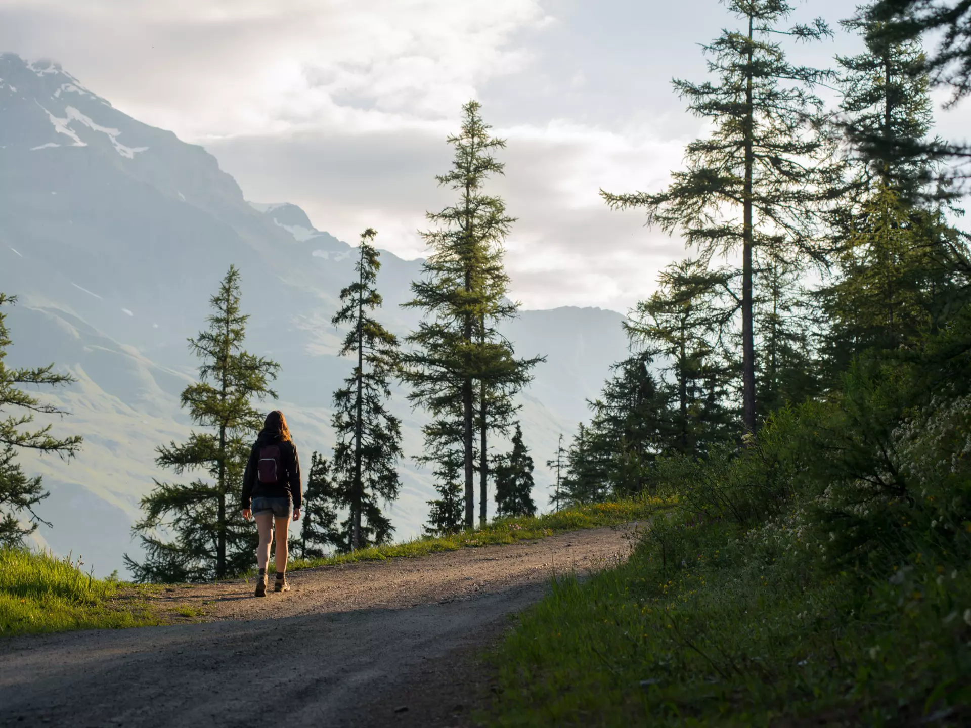 Young Adult Woman Hiking on Mountain Trail at Sunrise with Alps in Background, Col du Mont Cenis, Val Cenis Vanoise, France