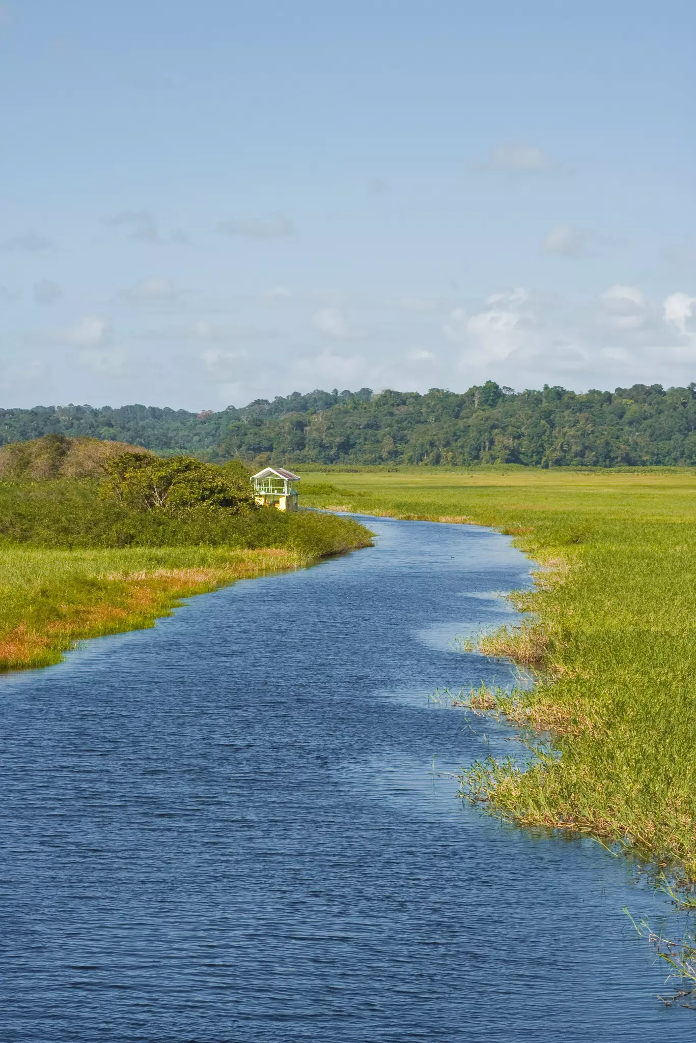 A water channel through a marshland in a tropical landscape.