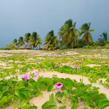 Beach of the Caribbean sea in Colombia in the vicinity of the Riohacha town