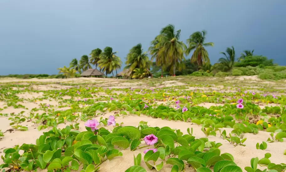 Beach of the Caribbean sea in Colombia in the vicinity of the Riohacha town