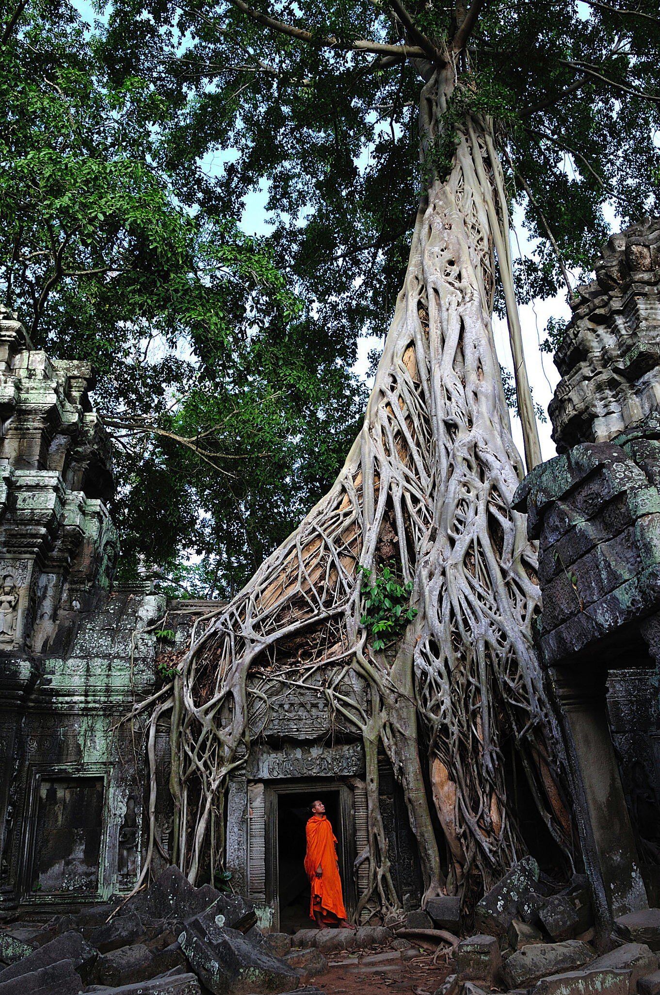 Cambodia; Angkor; Ta Prohm temple
95050656
Adult; Angkor; Apsara; Archaeology; Architecture; Arts; Asia; Buddha; Buddhism; Cambodia; Cambodian Culture; Century; Color Image; Construction Industry; Cultures; Custom; Discovery; Fig; Gopura; Holiday; Jayavarman; Khmer; King; Men; Monastery; Monk; Monk - Religious Occupation; Monument; Murderer; Natural; Nature; Photography; Prohm; Religion; Southeast; Southeast Asia; Spirituality; Ta; Temple; Temple - Building; Tour; Tourism; Tourist; Travel; Tree; Twelfth; University; Vacations; Vertical; VII; Visit;