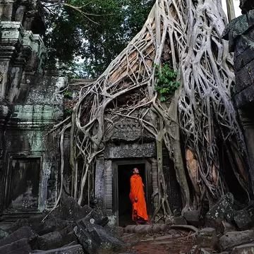 Cambodia; Angkor; Ta Prohm temple
95050656
Adult; Angkor; Apsara; Archaeology; Architecture; Arts; Asia; Buddha; Buddhism; Cambodia; Cambodian Culture; Century; Color Image; Construction Industry; Cultures; Custom; Discovery; Fig; Gopura; Holiday; Jayavarman; Khmer; King; Men; Monastery; Monk; Monk - Religious Occupation; Monument; Murderer; Natural; Nature; Photography; Prohm; Religion; Southeast; Southeast Asia; Spirituality; Ta; Temple; Temple - Building; Tour; Tourism; Tourist; Travel; Tree; Twelfth; University; Vacations; Vertical; VII; Visit;