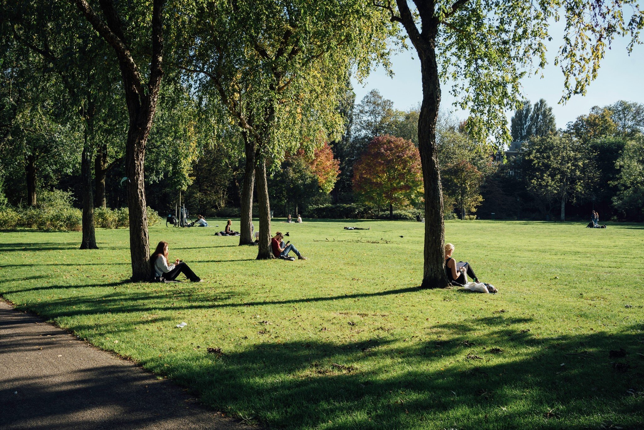 People relaxing in the sun by the trees at Oosterpark in Amsterdam. 
