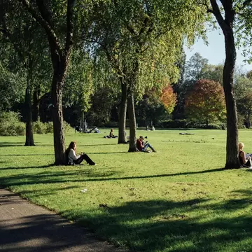 People relaxing in the sun by the trees at Oosterpark in Amsterdam. 