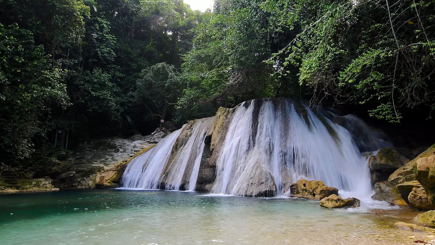 A waterfall cascades down into a pool in an area with dense foliage