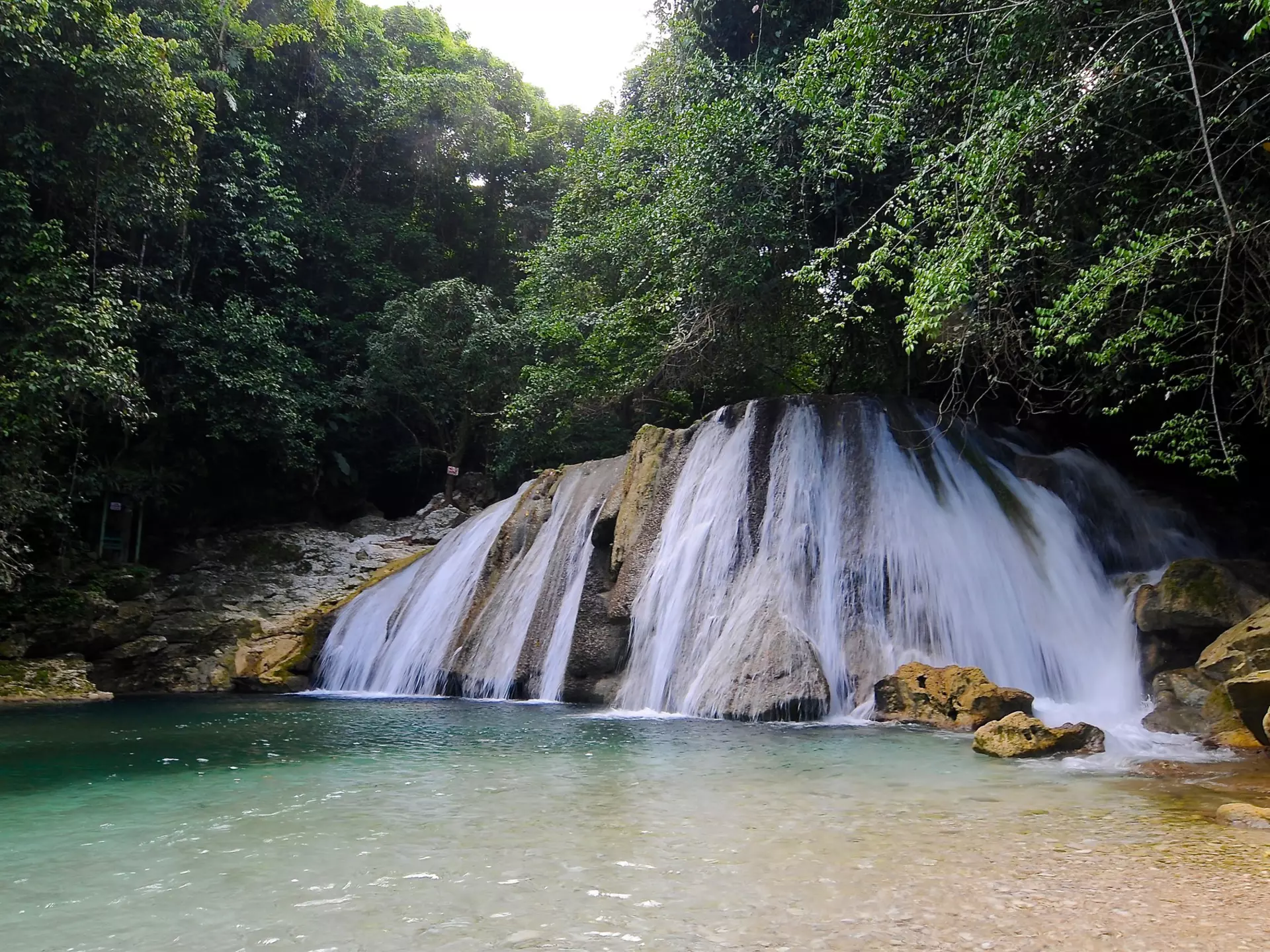 A waterfall cascades down into a pool in an area with dense foliage