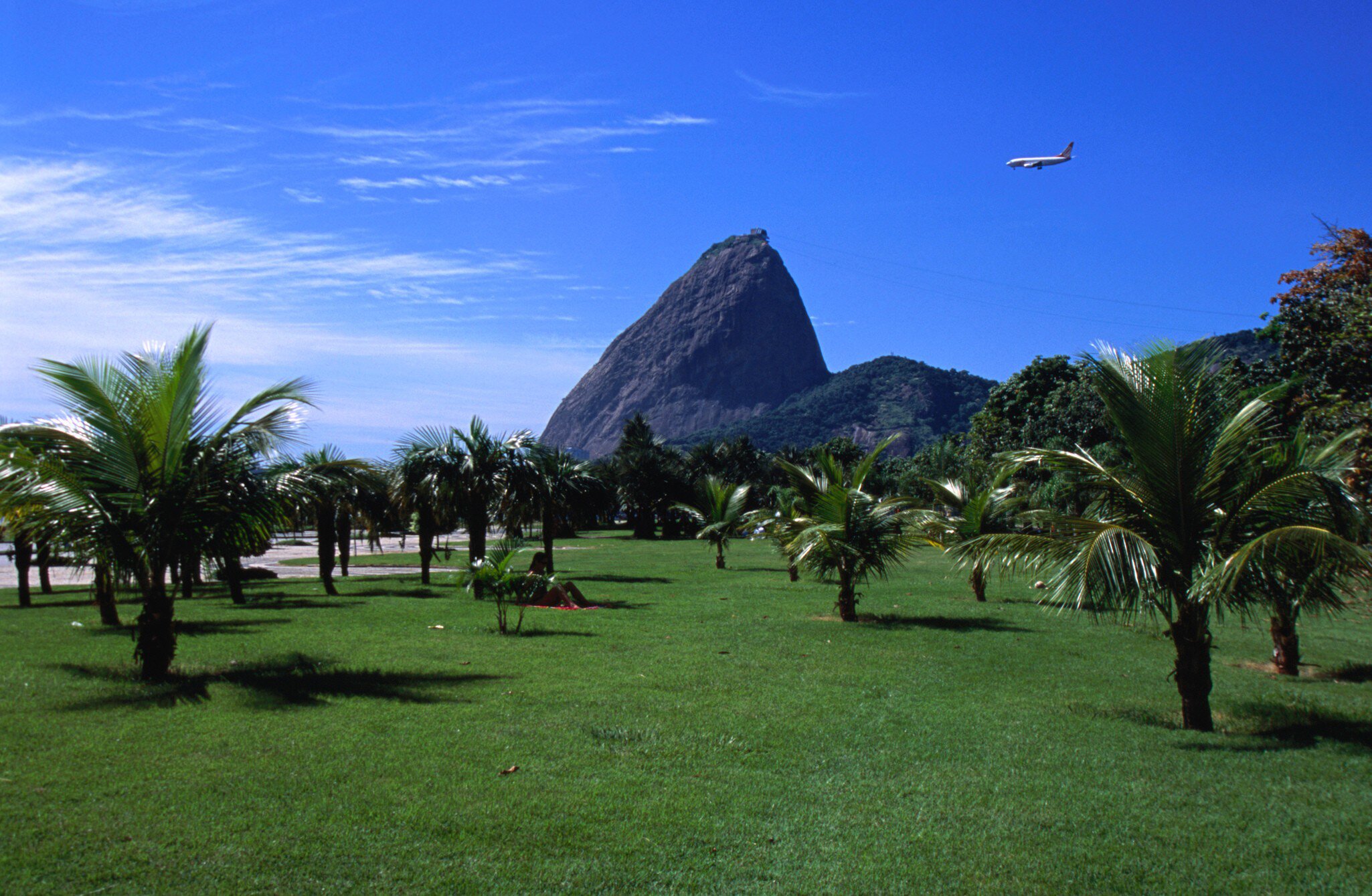 Aterro do Flamengo with Sugar Loaf mountain in distance, Flamengo.
19797-10
Brazil, Rio de Janeiro, South America, aeroplane, aircraft, aviation, flora, garden, grass, mountain, nature, palm, park, peak, transport, tree