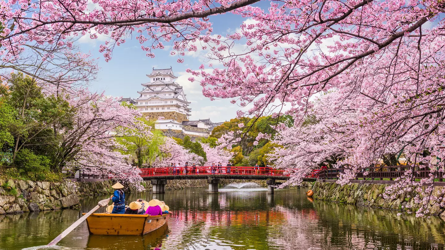 What makes Japan such a breathtaking destination hasn’t gone anywhere © Sean Pavone / Shutterstock