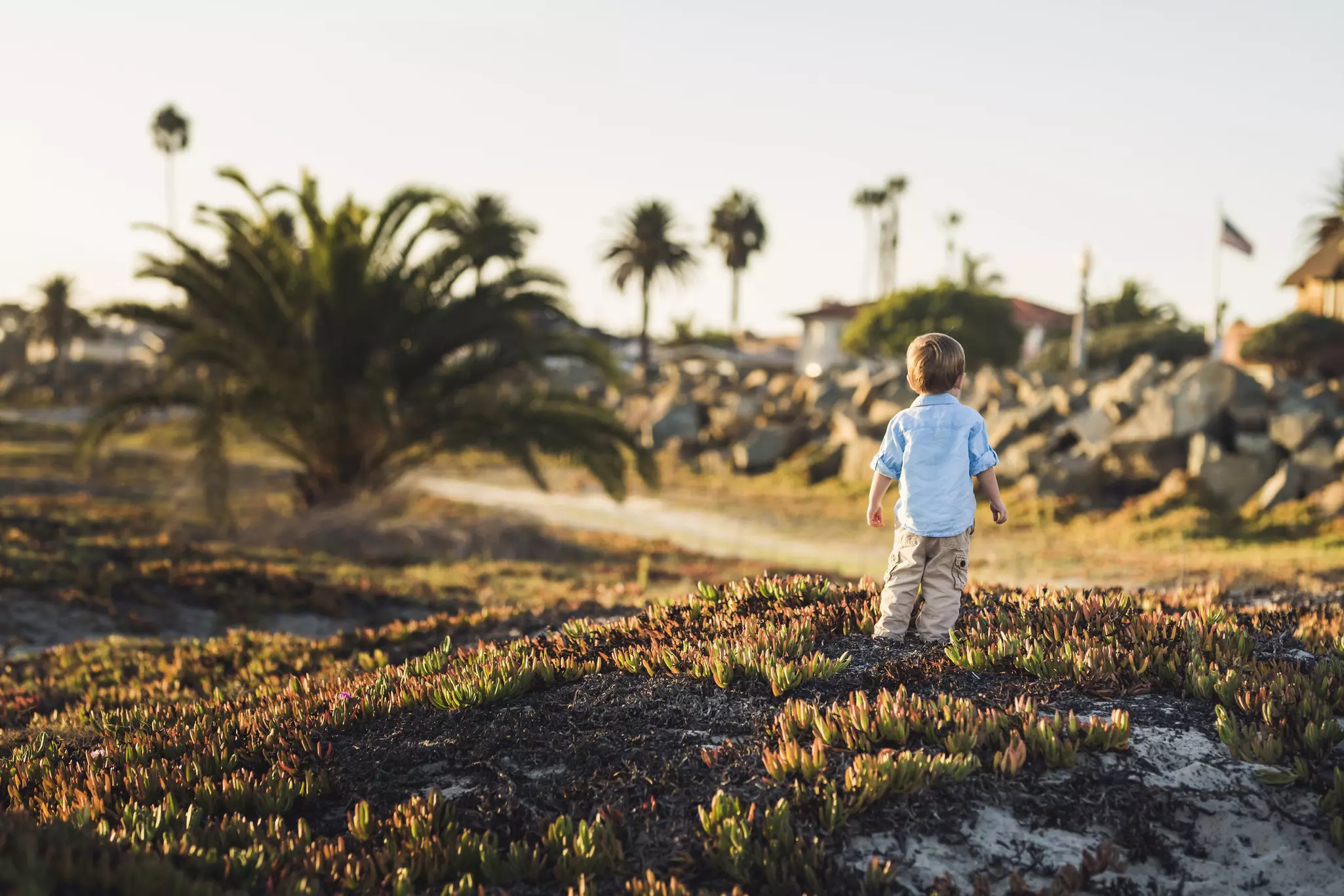 Baby boy standing on a sandy hill during sunset in San Diego.