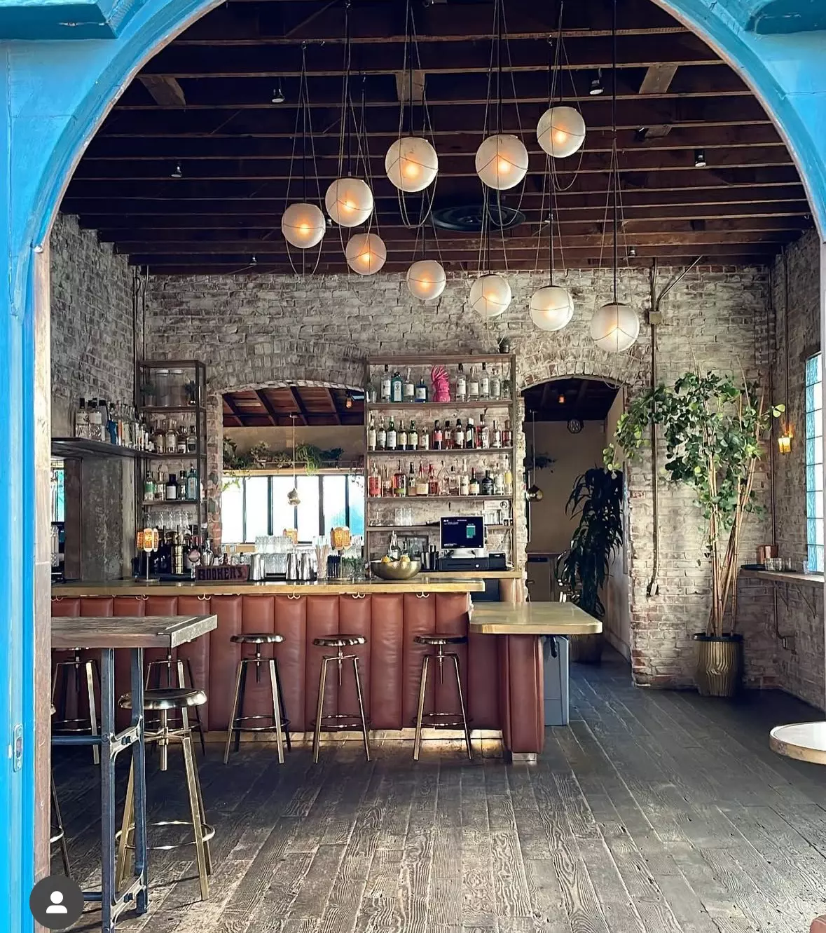 Roosterfish in Venice, LA
