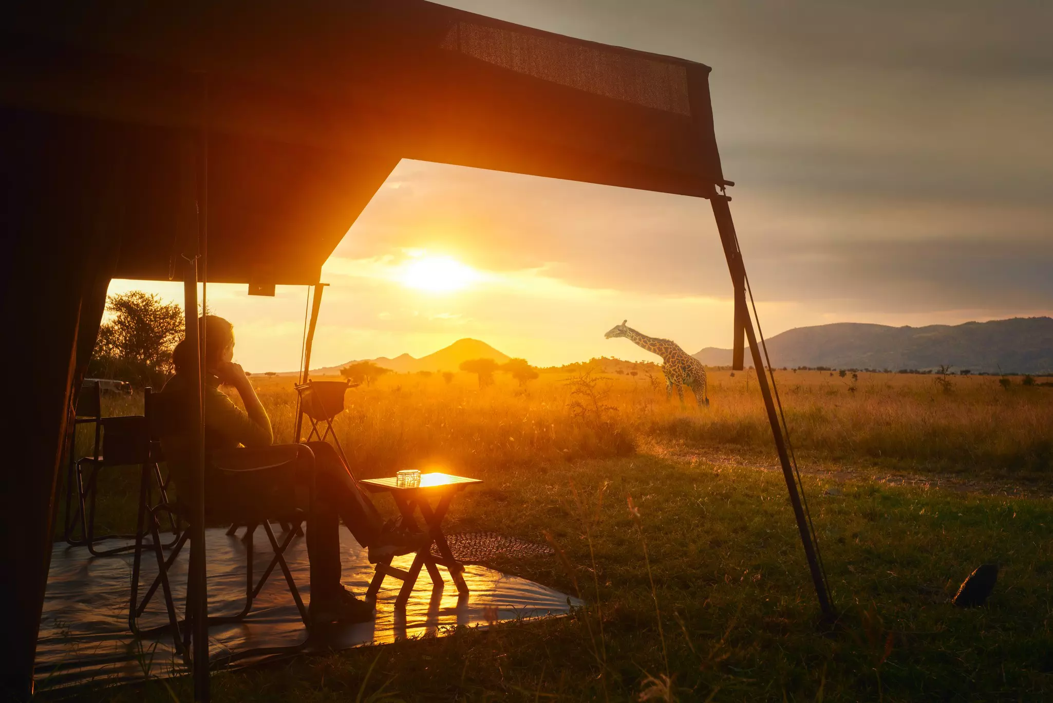 A person sitting under a tent at sunset watching a giraffe.