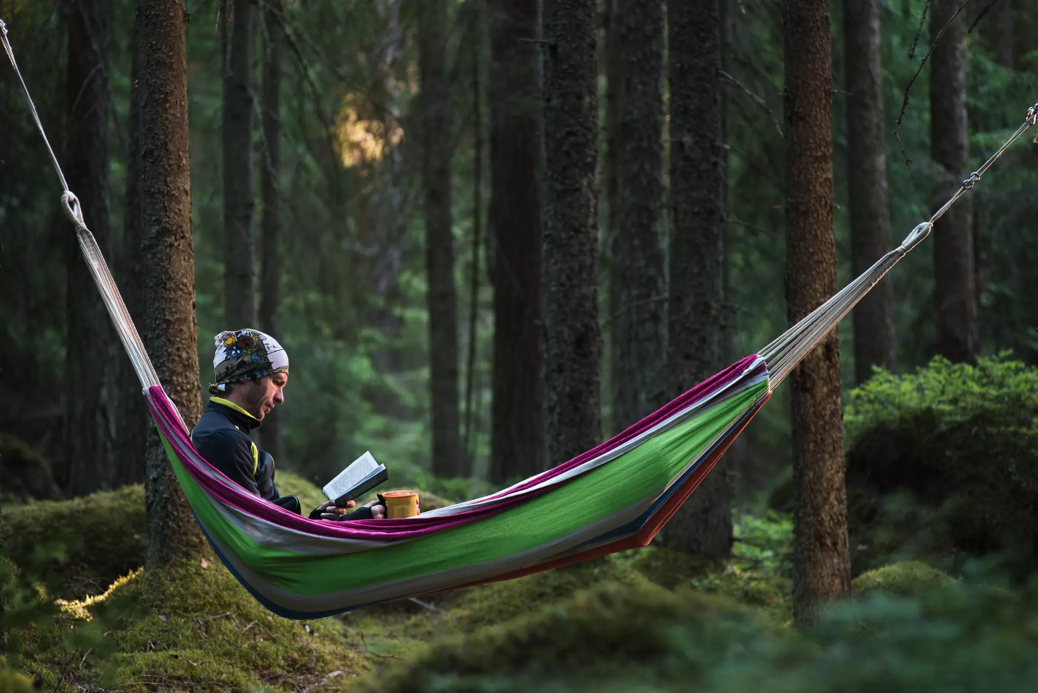 Man reads in a hammock in a forest