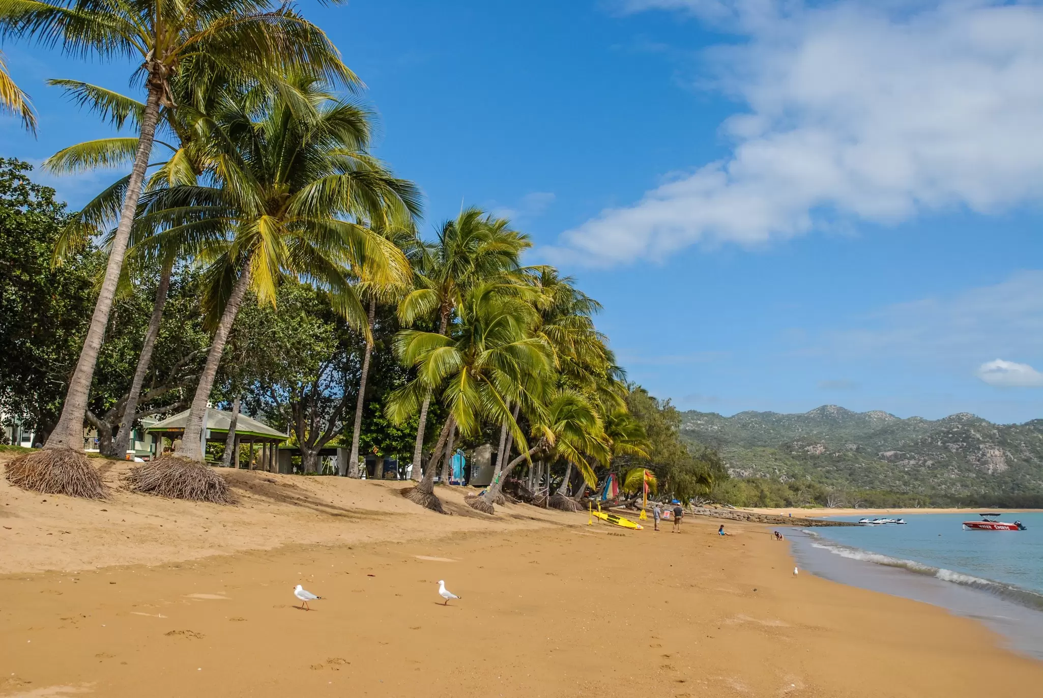 View of the beach and palm trees at Horseshoe Bay on Magnetic Island, Australia.