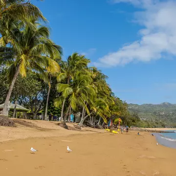 View of the beach and palm trees at Horseshoe Bay on Magnetic Island, Australia.