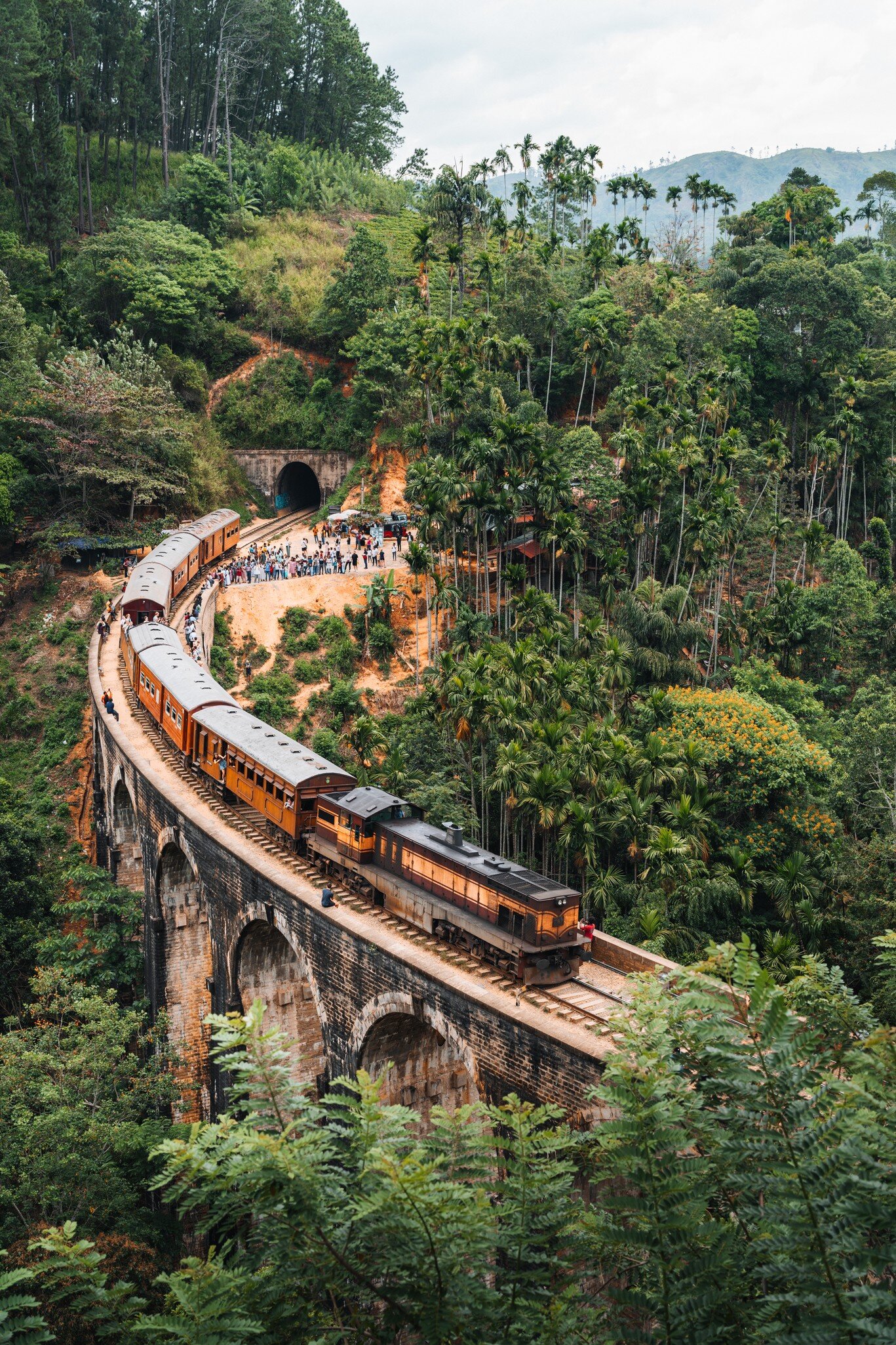 Orange and brown passenger train on a curved stone viaduct through dense palms, with a crowd by a tunnel mouth.