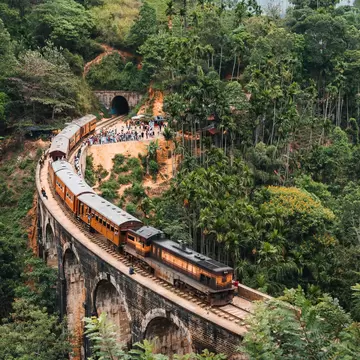Orange and brown passenger train on a curved stone viaduct through dense palms, with a crowd by a tunnel mouth.