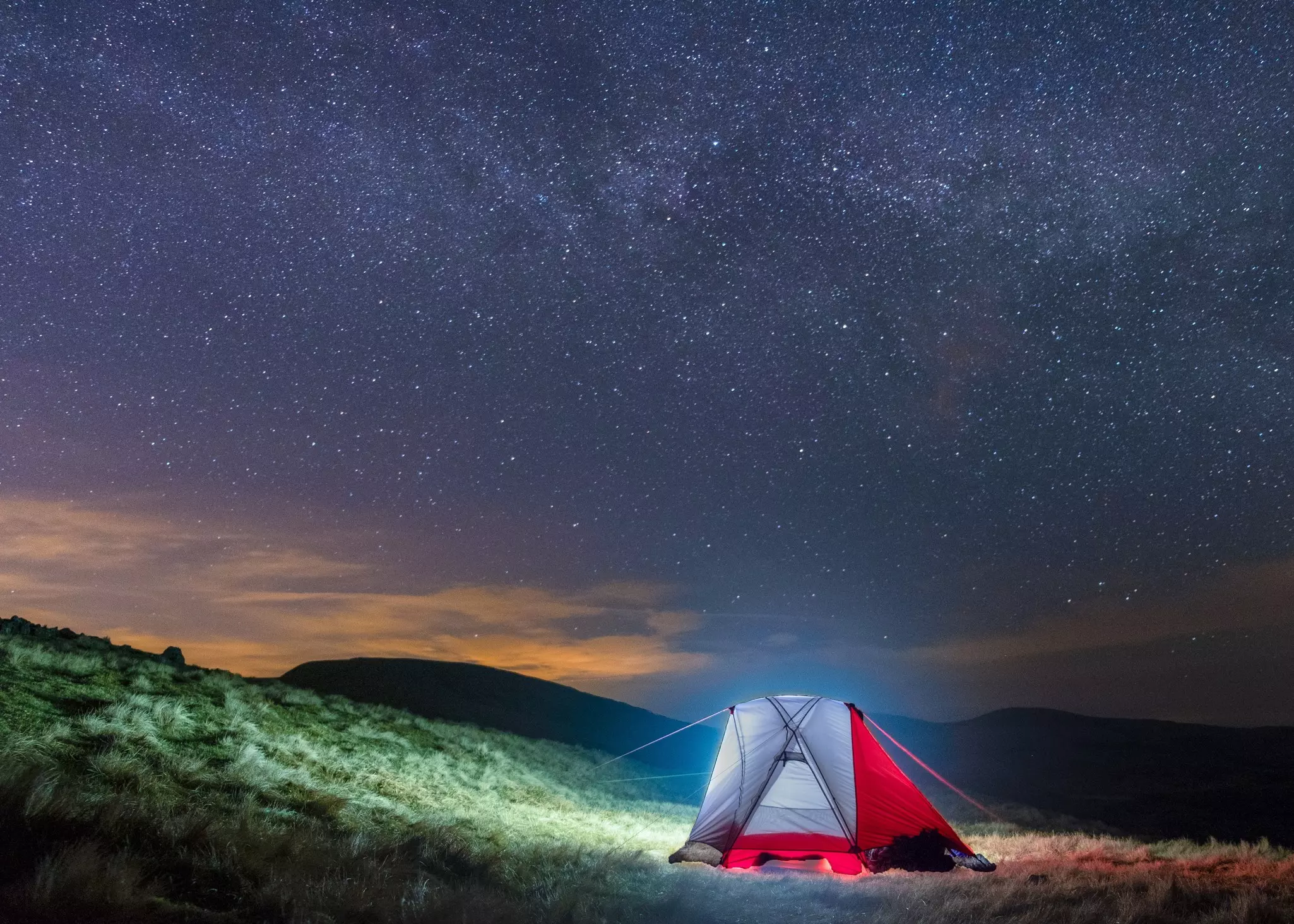 The stars in the sky above trees in a forest