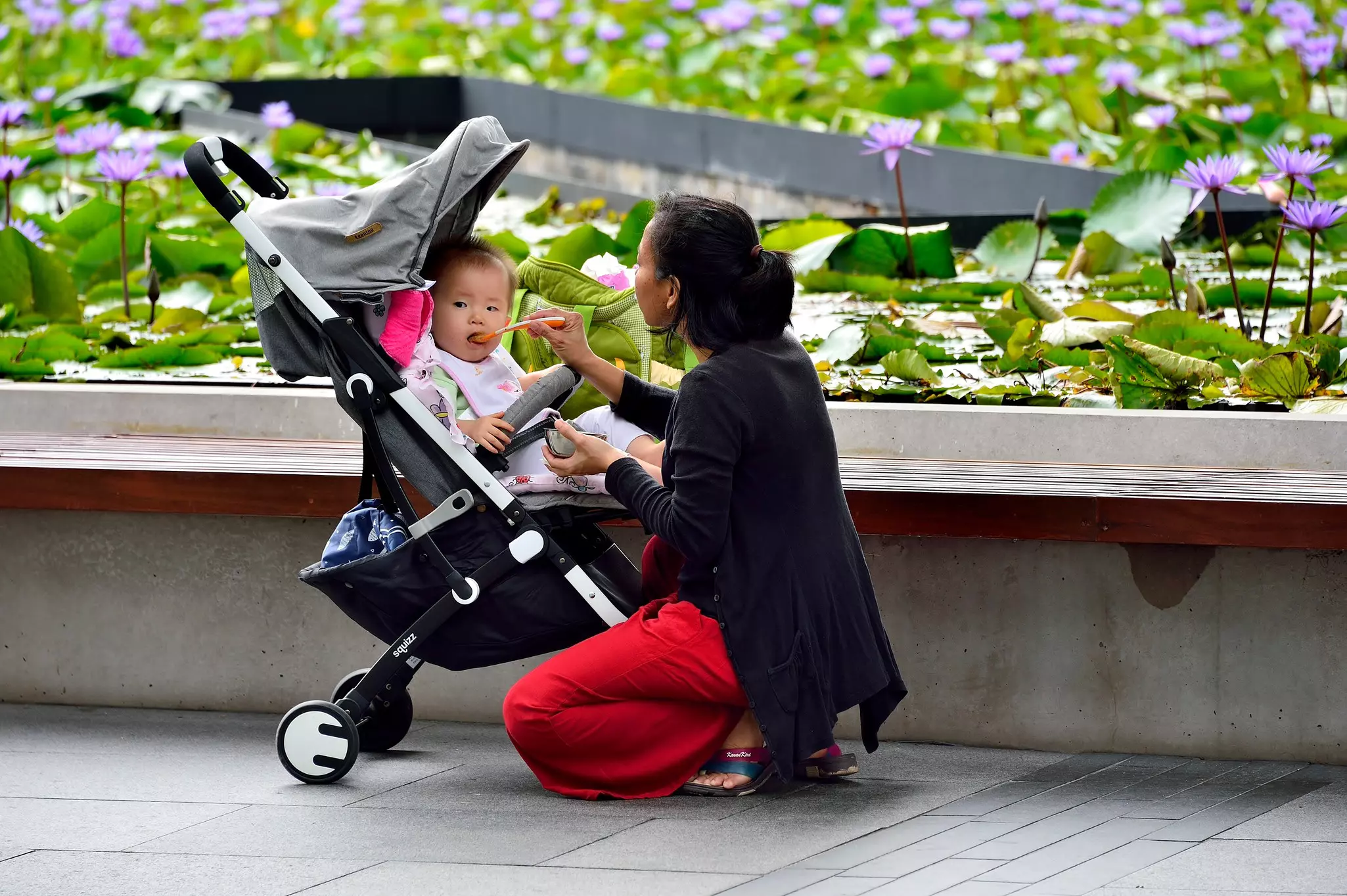 A woman crouches to feed a baby in a stroller in a park with water lilies in the background.