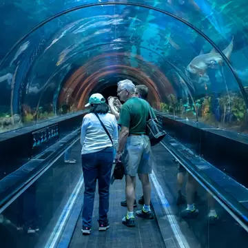 Orlando, Florida. November 06, 2019. People enjoying Shark encounter tunnel at Seaworld 1; Shutterstock ID 1558738823; full: 65050; gl: Online editorial; netsuite: POI updates; your: Ann Douglas Lott
1558738823