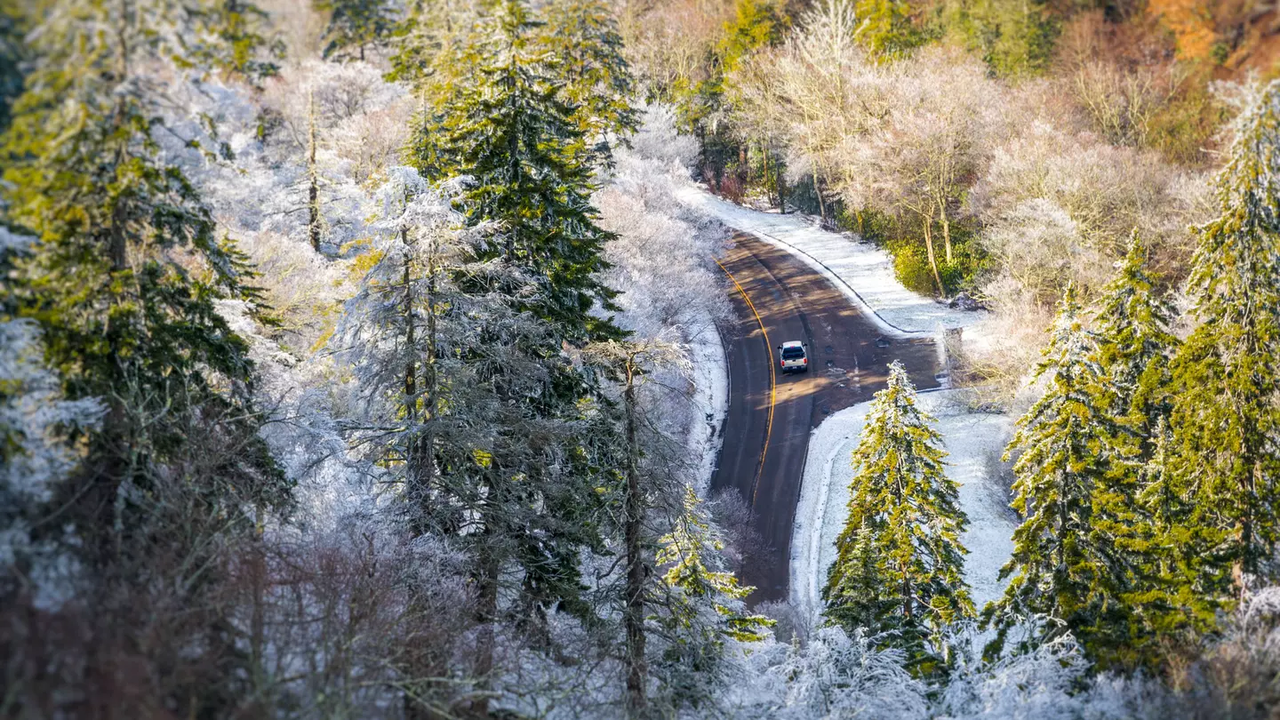 A view from above of a car driving through a forest with trees dusted in snow.