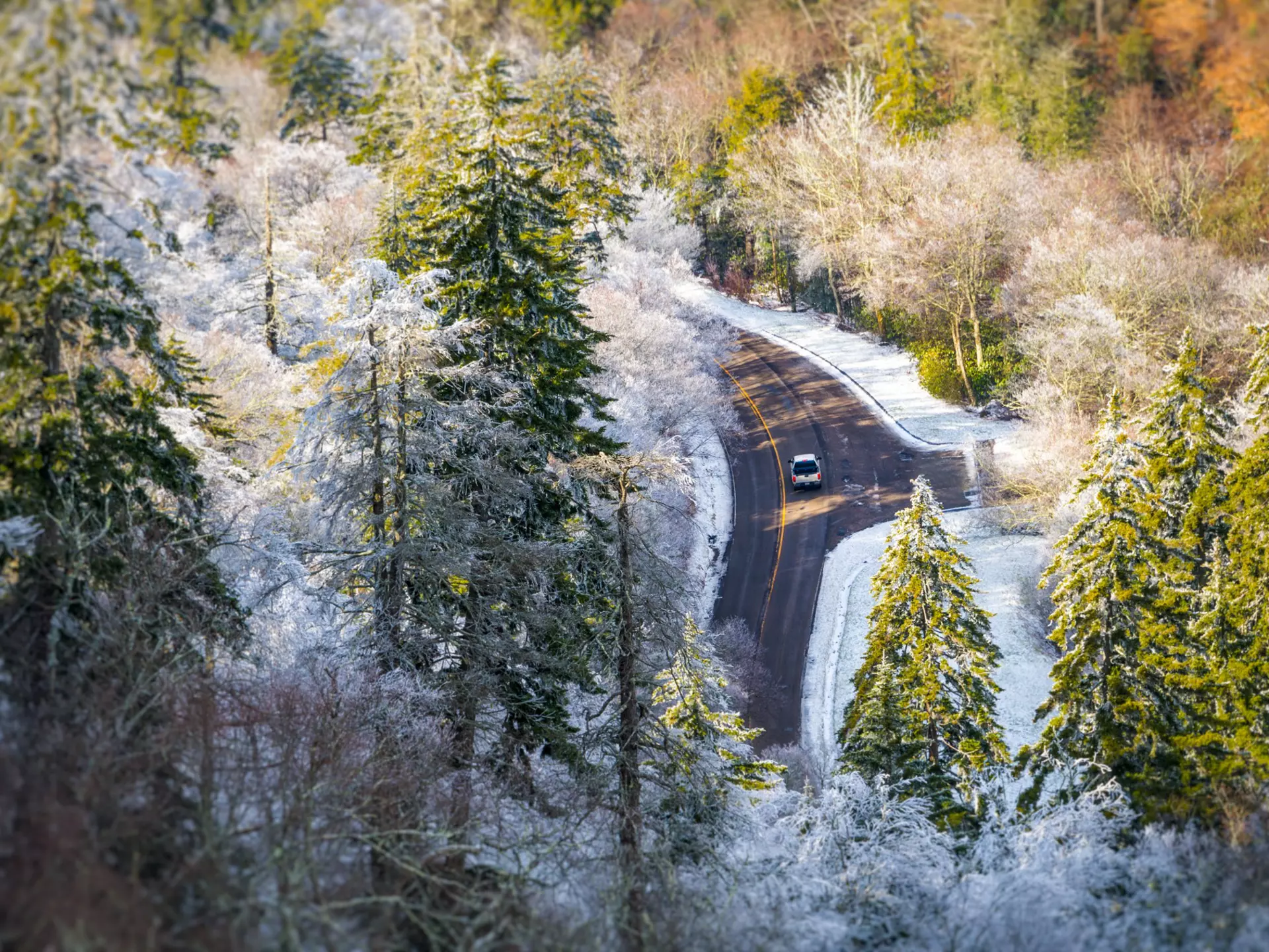A view from above of a car driving through a forest with trees dusted in snow.