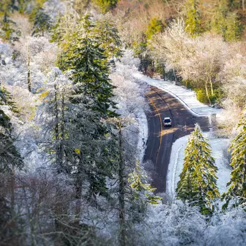 A view from above of a car driving through a forest with trees dusted in snow.
