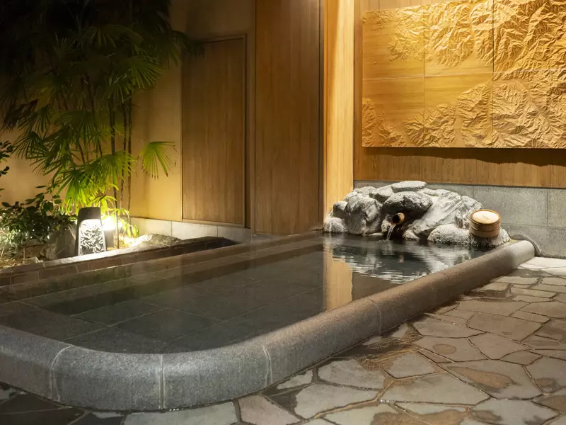 Large gray stone indoor bath surrounded by flat stones with palms and other plants in the distance and wooden relief artwork on the wall.