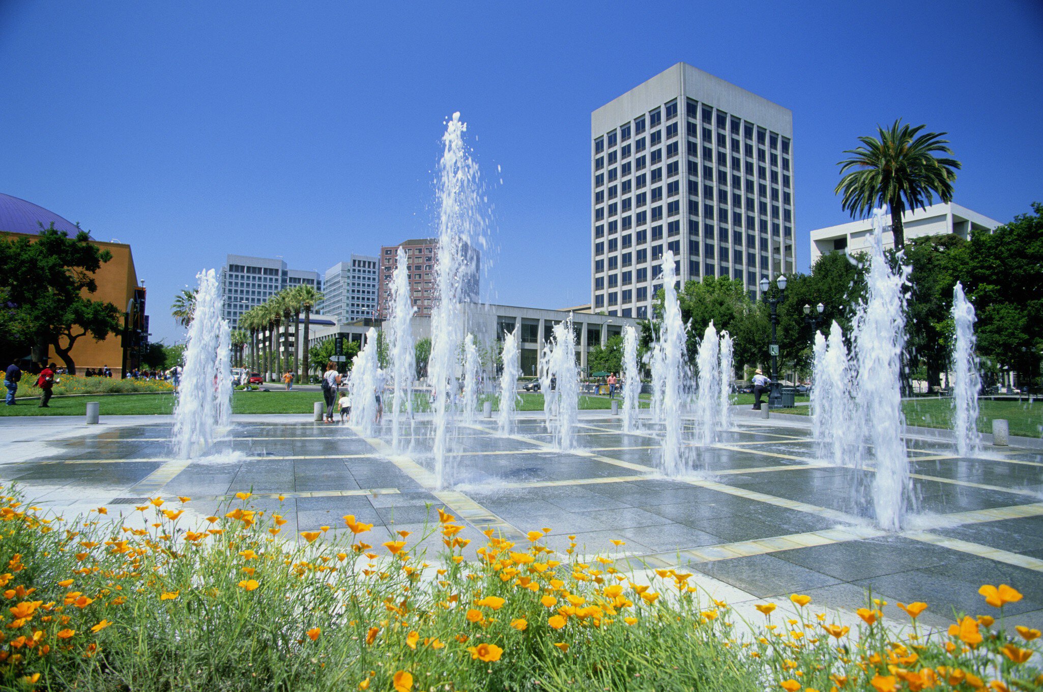 Multiple water spouts rising up from flat sidewalk fountain on a sunny day with tall city buildings in the distance.