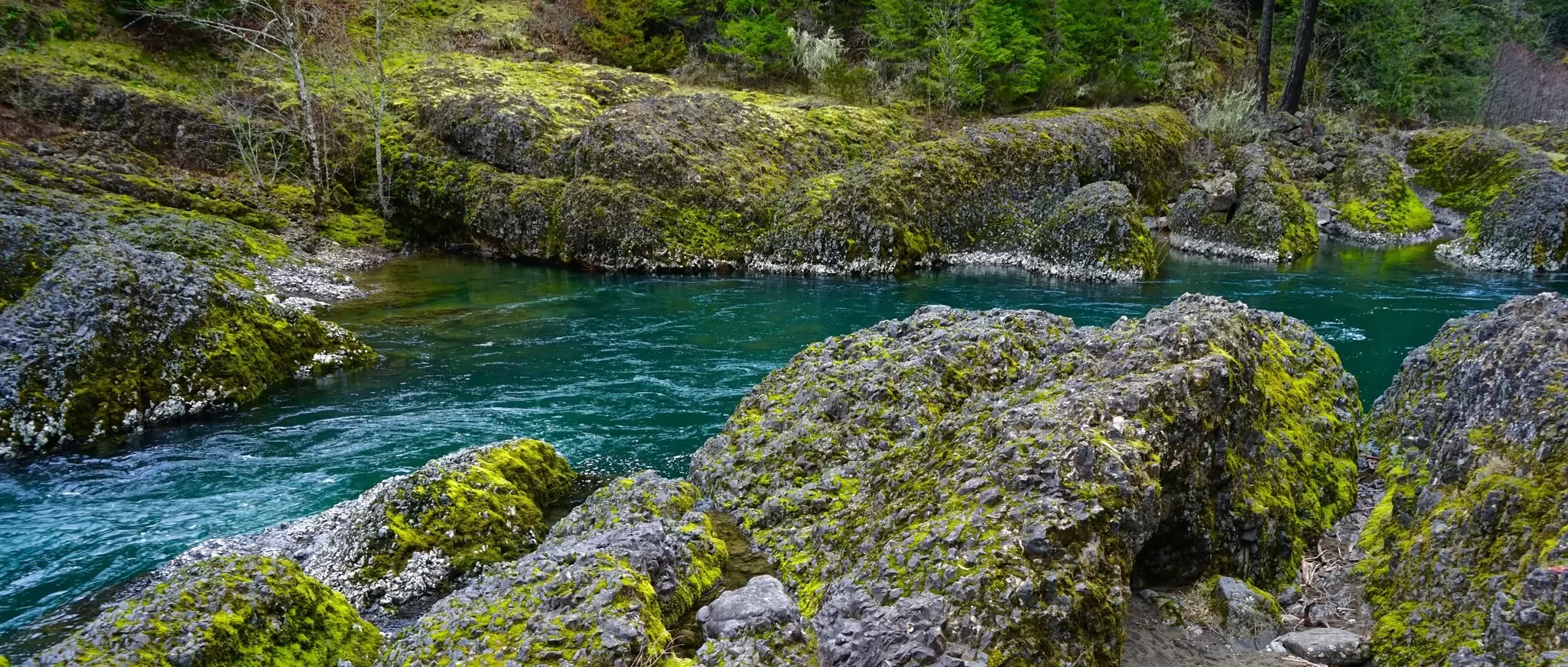 Chill out along the Clackamas River Trail and soak up the remarkable flora. Samson1976 / Getty Images