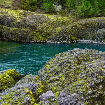 Chill out along the Clackamas River Trail and soak up the remarkable flora. Samson1976 / Getty Images