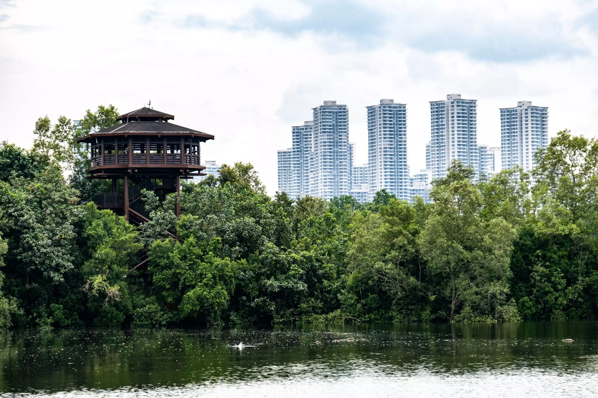 Sungei Buloh wetland reserve in Singapore, Asia.