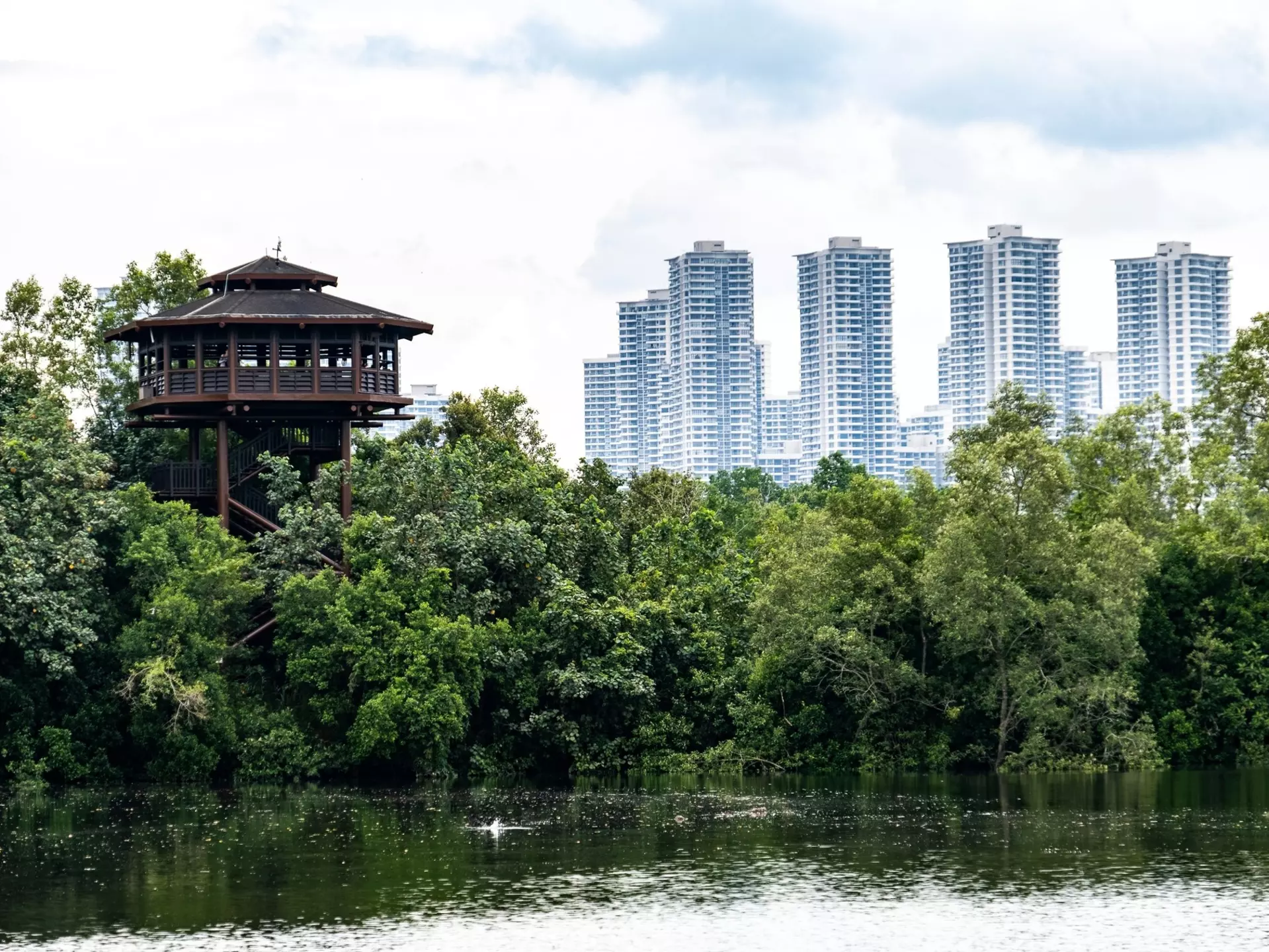 A wooden observation tower rises above dense trees by the water. Apartment buildings are visible in the background.