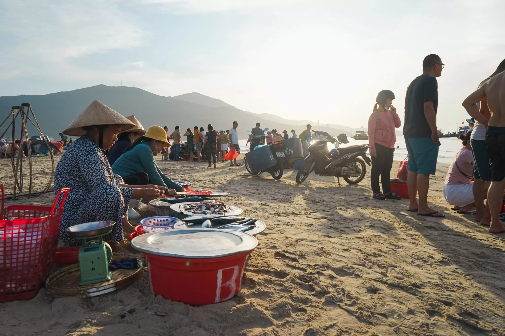 Early morning fish market on the beach in Vietnam