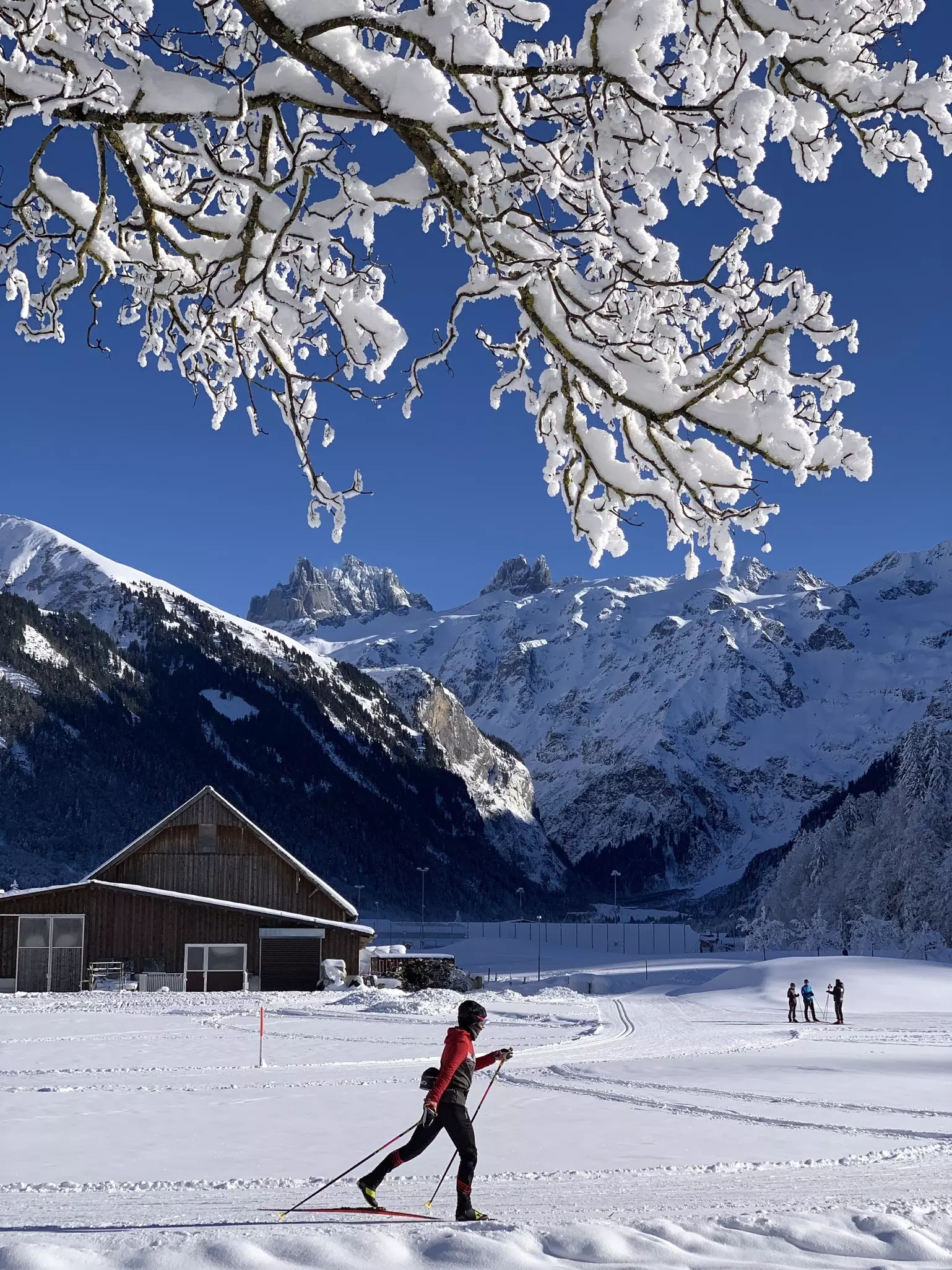 A cross-country skier on a sunny day in Switzerland; mountains and a wood structure are in the background.