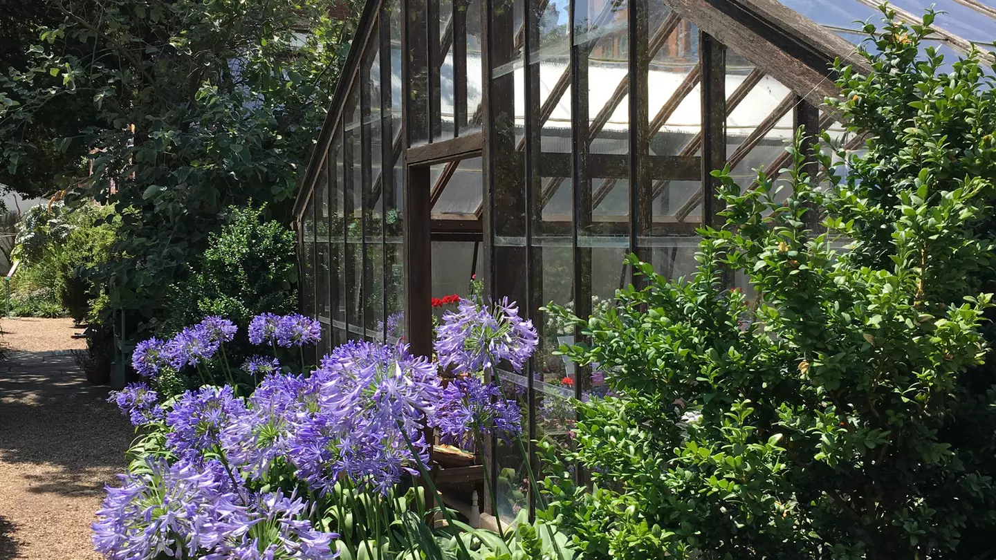 Chelsea Physic Garden