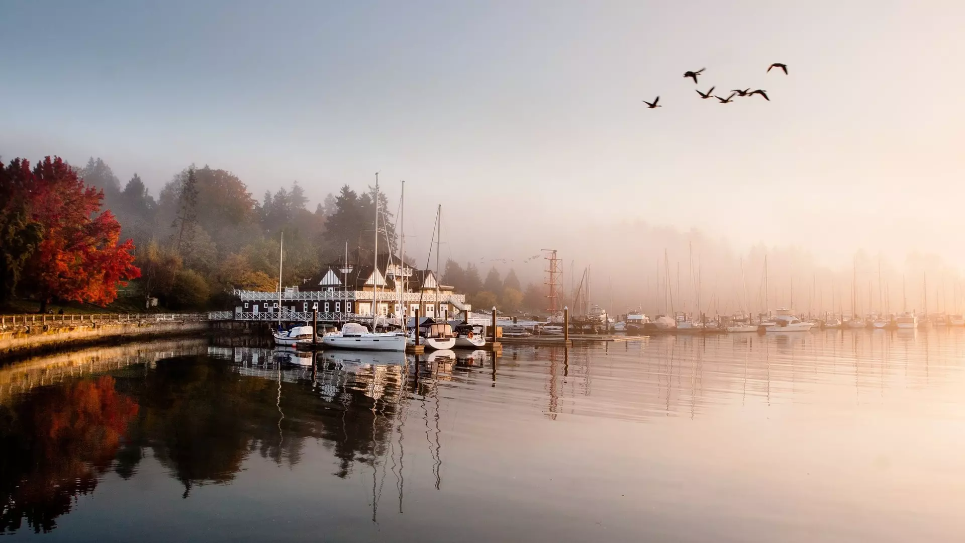 Misty sunrise at Stanley Park