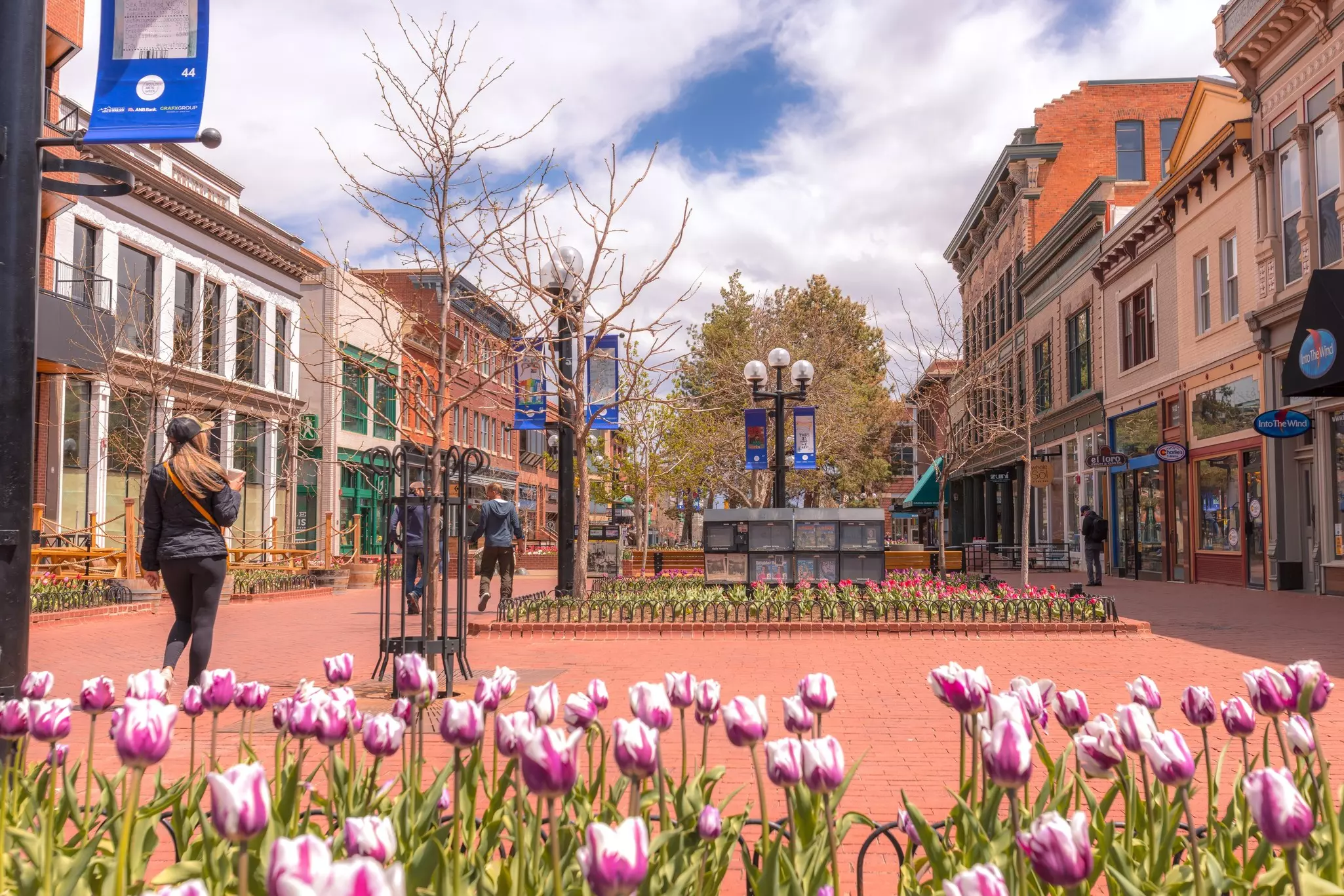 A woman walks along a cobblestone street lined with brick buildings; tulips fill the foreground.