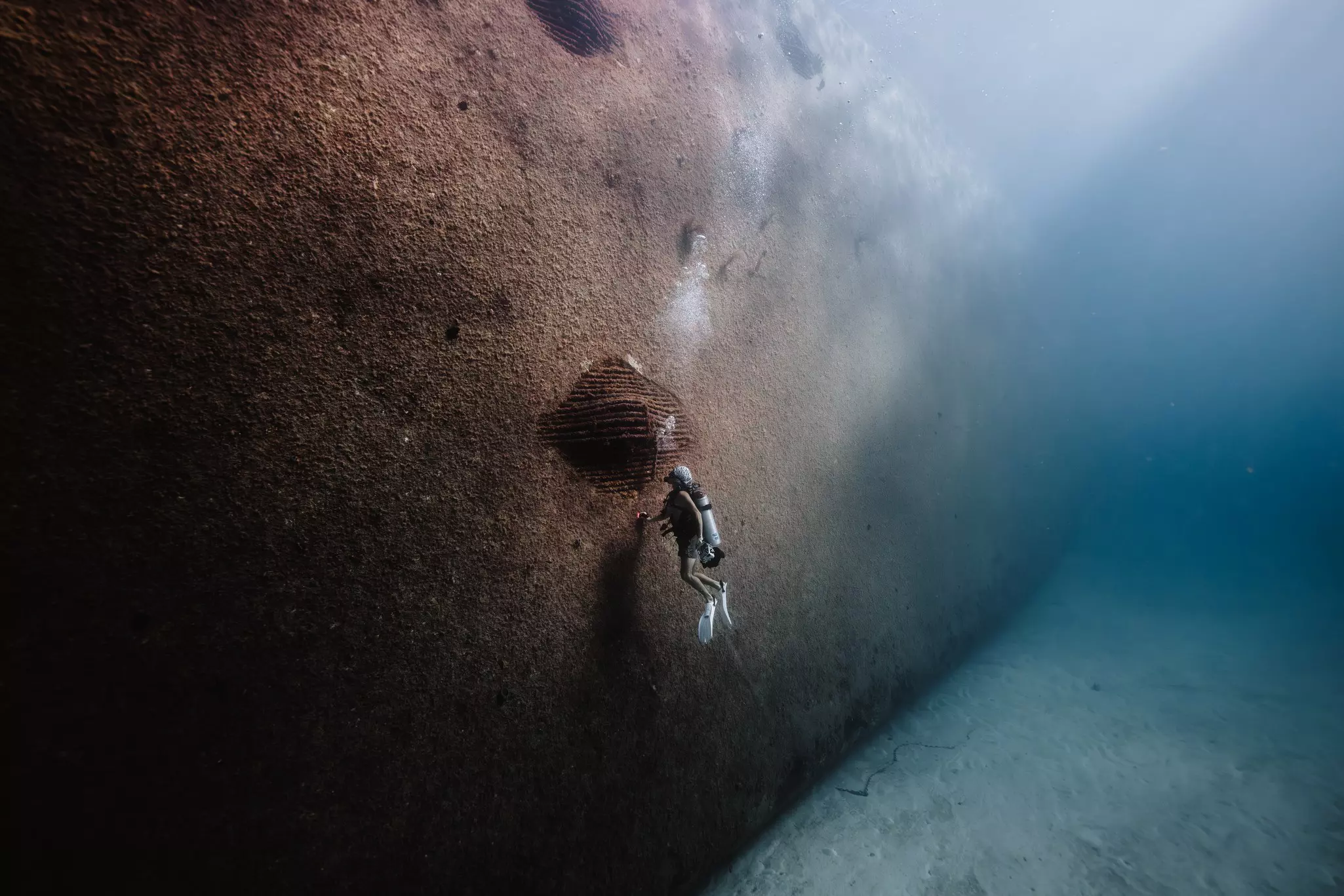 Witconcrete wreck dive.