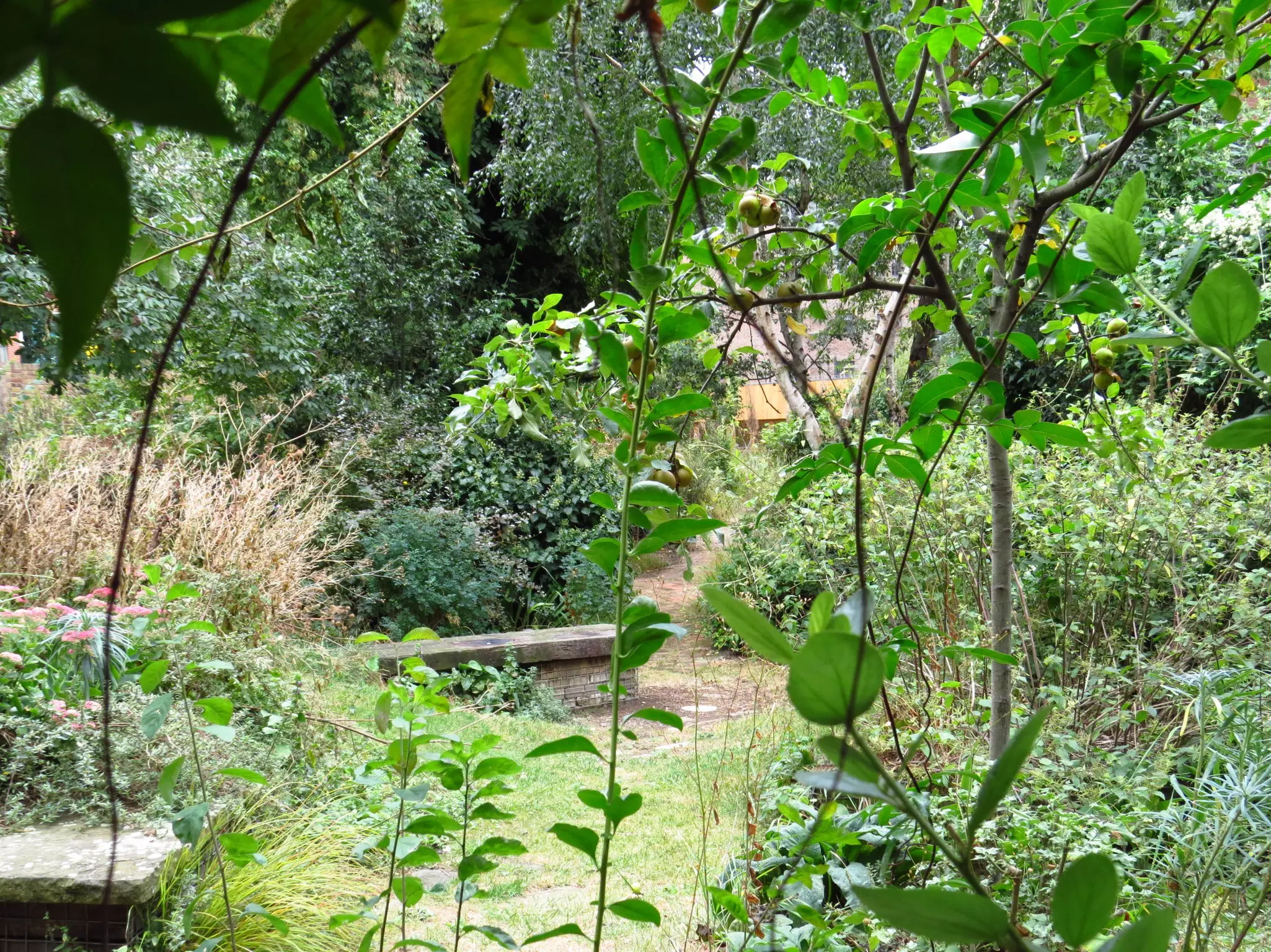 Phoenix Garden, London