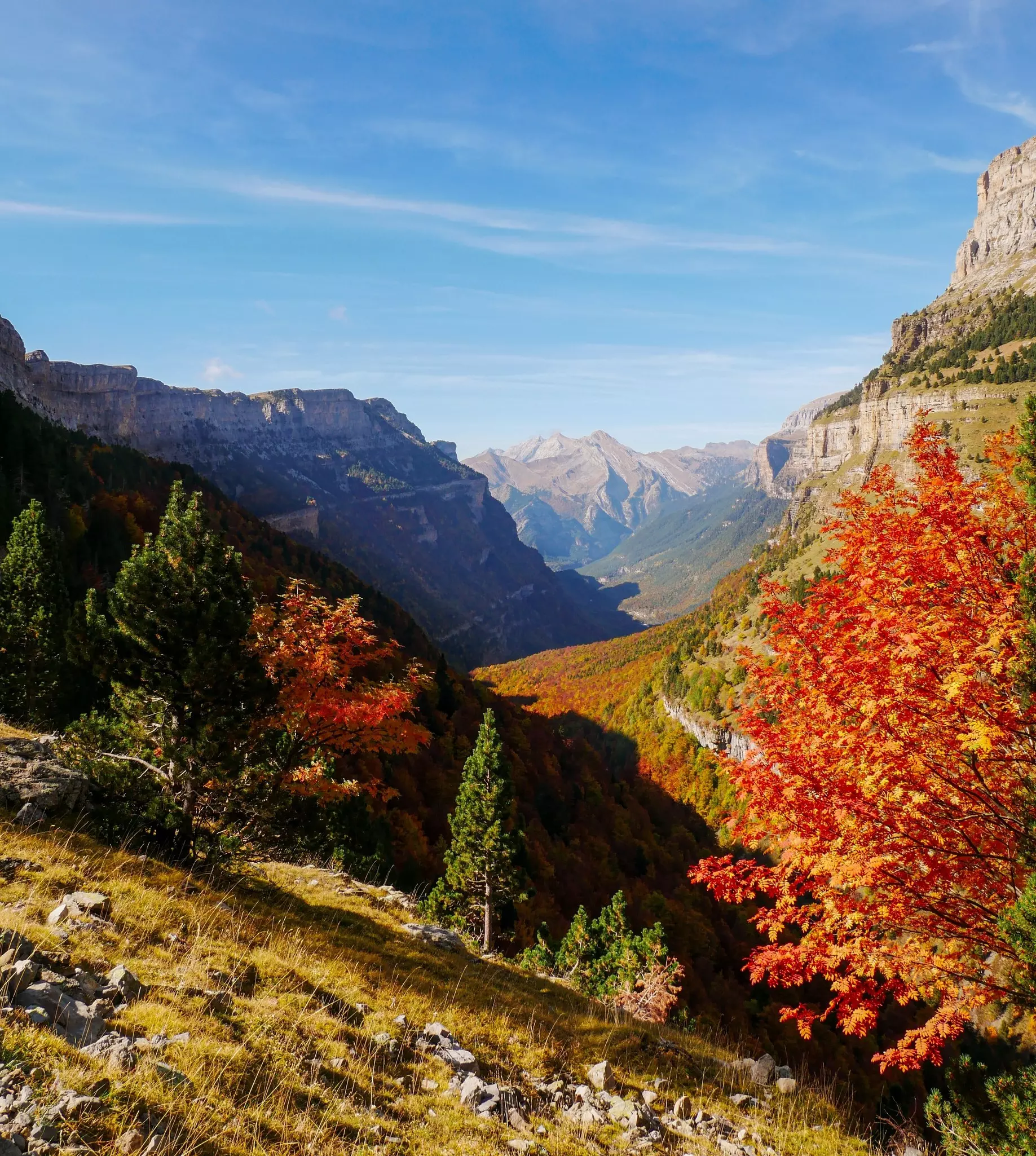 Ordesa valley landscape between high mountains covered with trees with warm autumn colors from faja de pelay, hunters trail, ordesa y lost mountain national park, torla, spain, License Type: media, Download Time: 2025-10-24T21:38:13.000Z, User: LP_YKhanna, Editorial: false, purchase_order: 65050 - Digital Destinations and Articles, job: Lonely Planet, client: App Content, other: Yuvraj Khanna